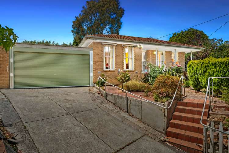 Main view of Homely house listing, 17 Stuart Street, Bayswater North VIC 3153