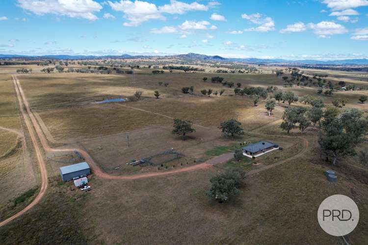 Main view of Homely ruralOther listing, 167 Ascot-Calala Road, Tamworth NSW 2340