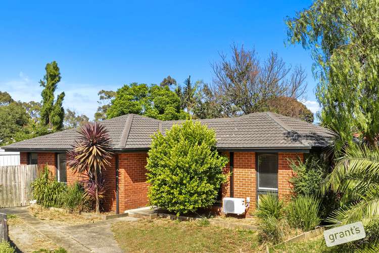 Main view of Homely house listing, 4 Bemersyde Drive, Berwick VIC 3806