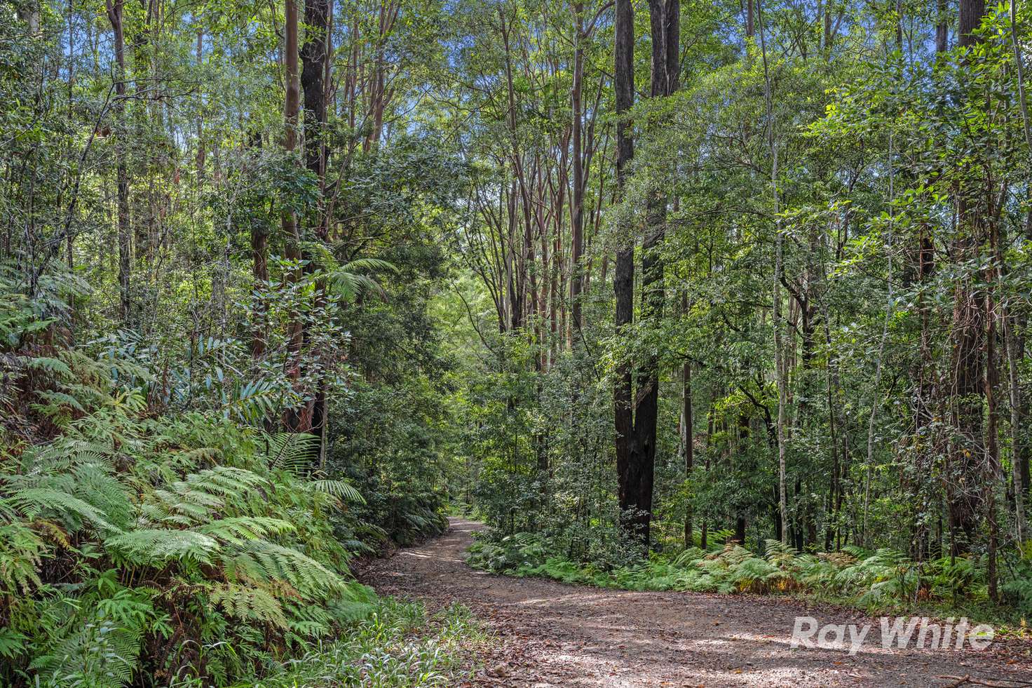 Main view of Homely lifestyle listing, 65 Porters Road, Upper Crystal Creek NSW 2484