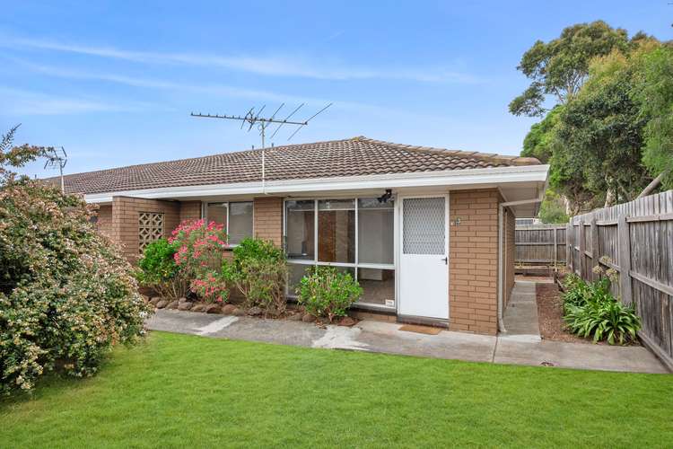 Main view of Homely unit listing, 3/8 Cheryl Crescent, Belmont VIC 3216