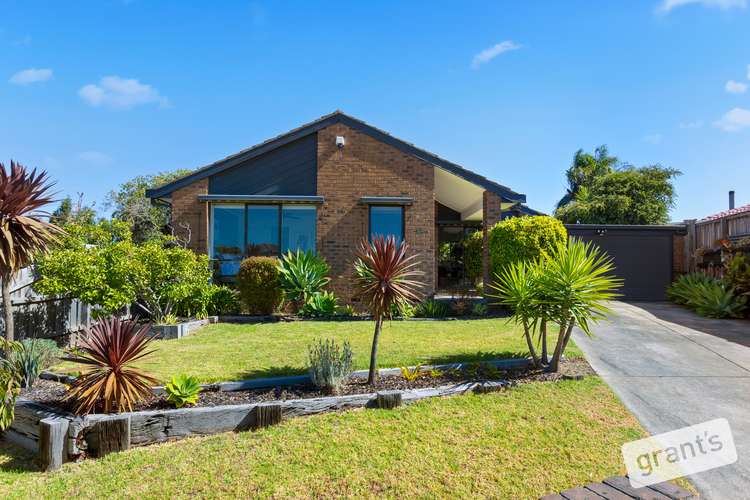 Main view of Homely house listing, 12 Marjoram Close, Hallam VIC 3803