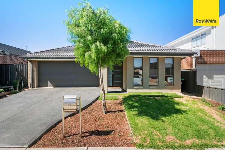 Main view of Homely house listing, 14 Coral St, Cobblebank VIC 3338