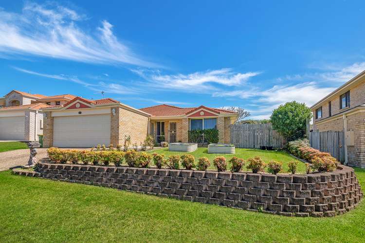 Main view of Homely house listing, 17 Jacob Court, Upper Coomera QLD 4209