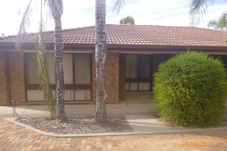 Main view of Homely house listing, 3/13 Pascoe Tce, Barmera SA 5345