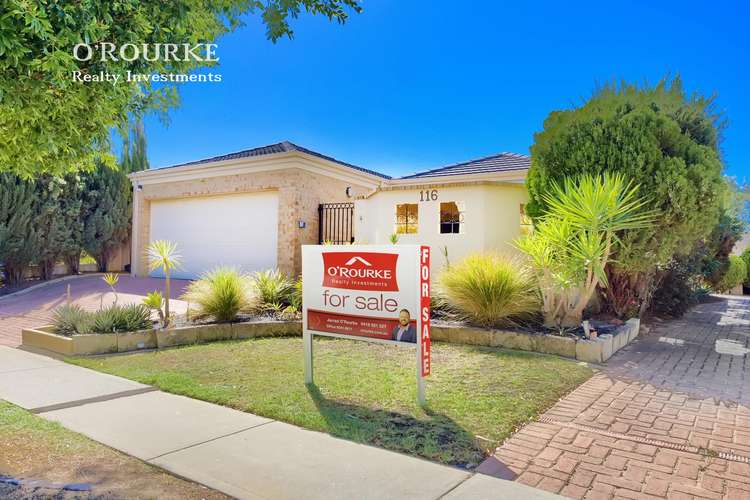 Main view of Homely villa listing, 4/116 Gildercliffe Street, Scarborough WA 6019