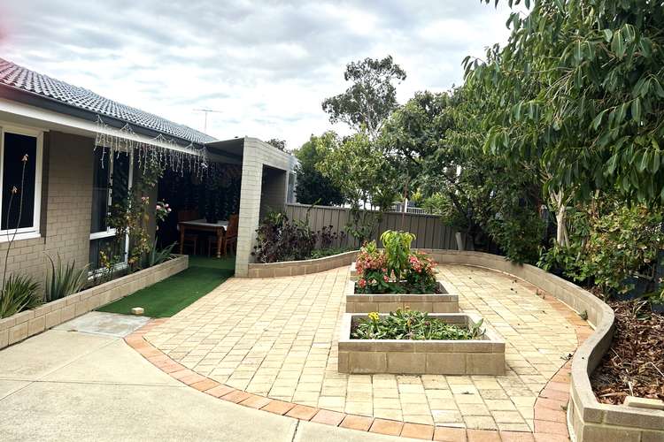 Main view of Homely house listing, 7 Harfleur Place, Hamilton Hill WA 6163