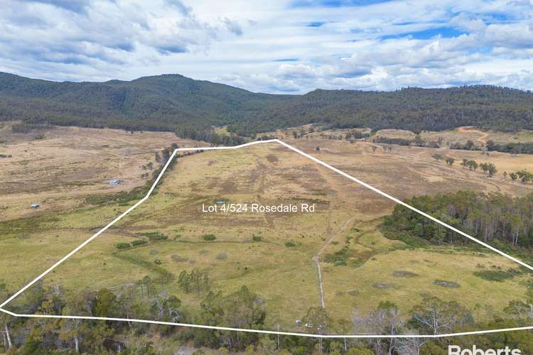 Main view of Homely residentialLand listing, LOT 4, 11, 12, 13, 524 Rosedale Road, Bicheno TAS 7215