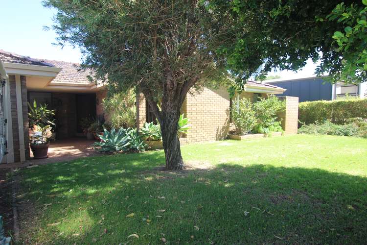 Main view of Homely house listing, 53 Bradford St, Waroona WA 6215