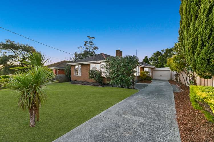 Main view of Homely house listing, 17 Cooper Avenue, Glen Waverley VIC 3150
