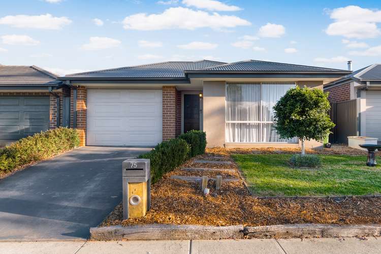 Main view of Homely house listing, 75 Elmslie Drive, Cranbourne East VIC 3977