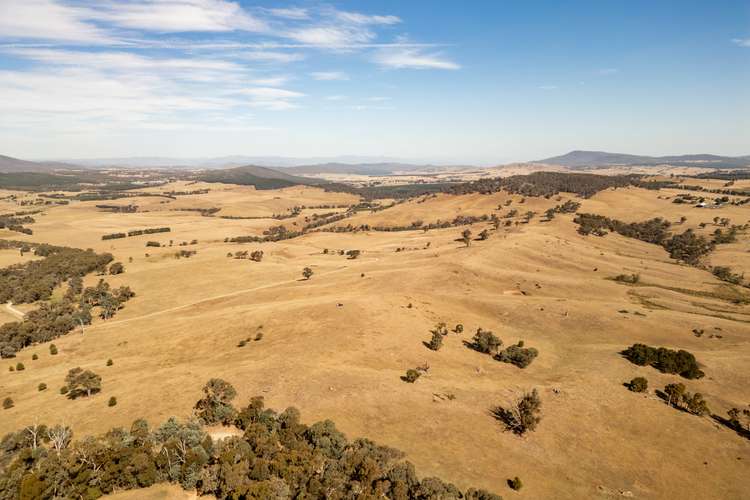 166 Glenroy Lake Road, Tumbarumba NSW 2653