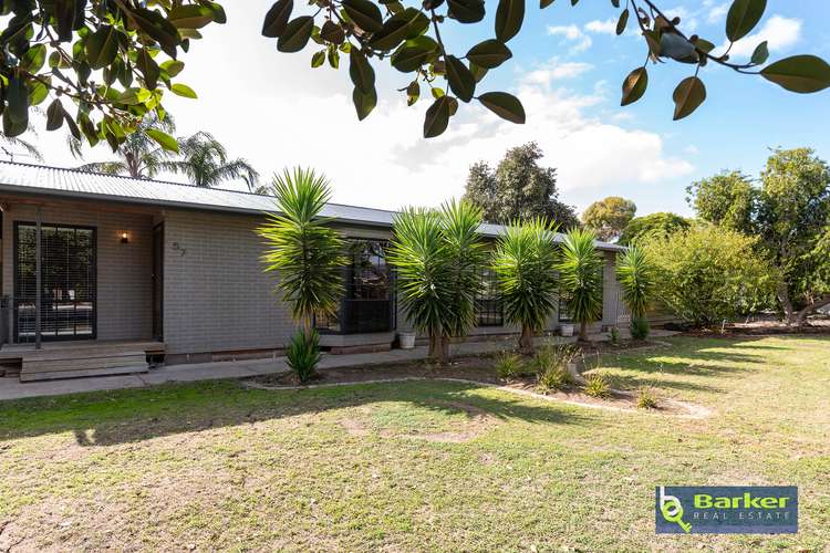 57 Hanson Street, Freeling SA 5372