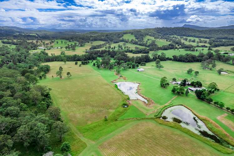 Main view of Homely cropping listing, 61 Blanchs Road, Byabarra NSW 2446