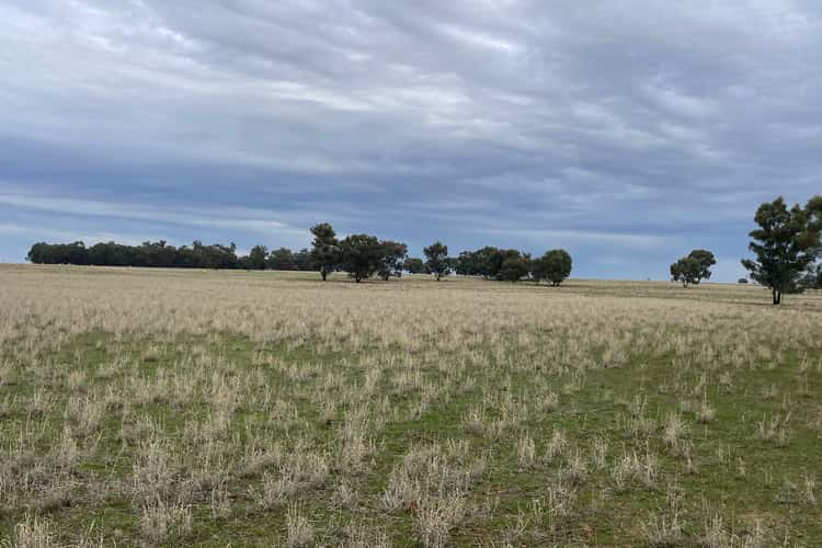 'East Gathan' 509 Gathan Road, Deniliquin NSW 2710