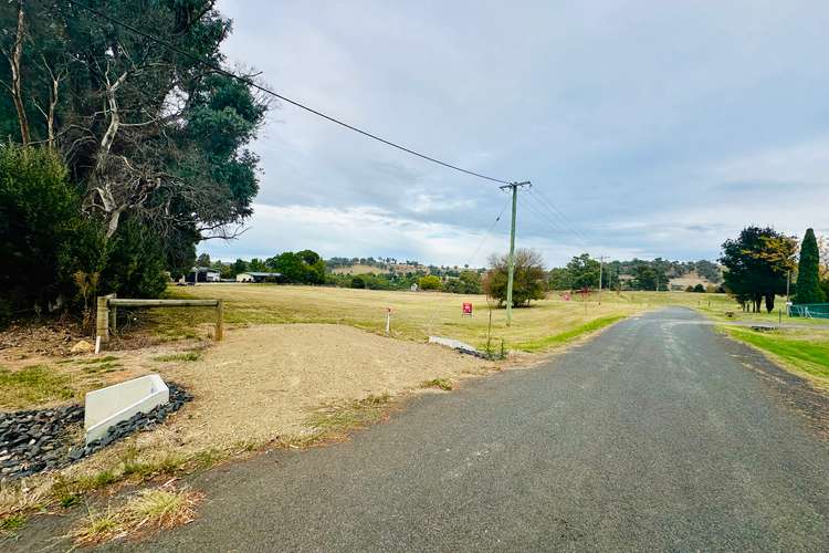 Main view of Homely residentialLand listing, LOT 1,2 & 3 Pine Lane, Tumbarumba NSW 2653