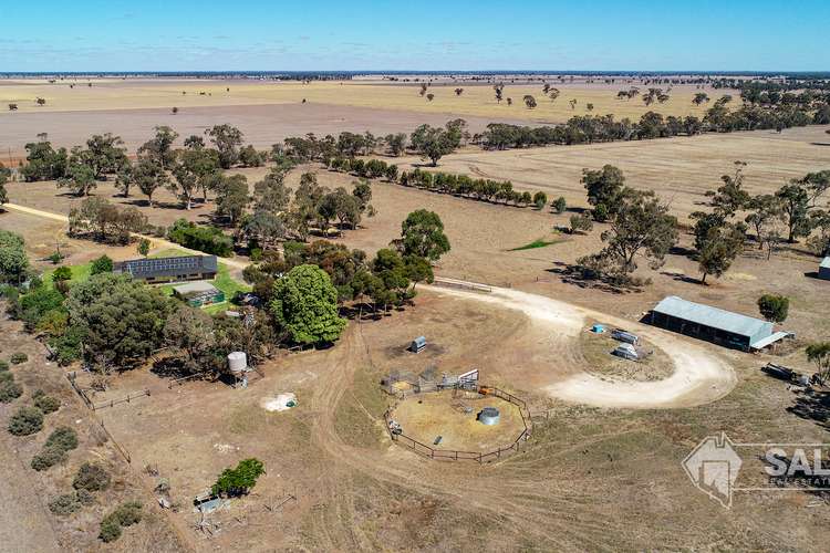 Sixth view of Homely acreageSemiRural listing, 17809 Dukes Highway, Bordertown SA 5268
