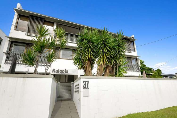 Main view of Homely unit listing, 6/37 Buderim Avenue, Mooloolaba QLD 4557