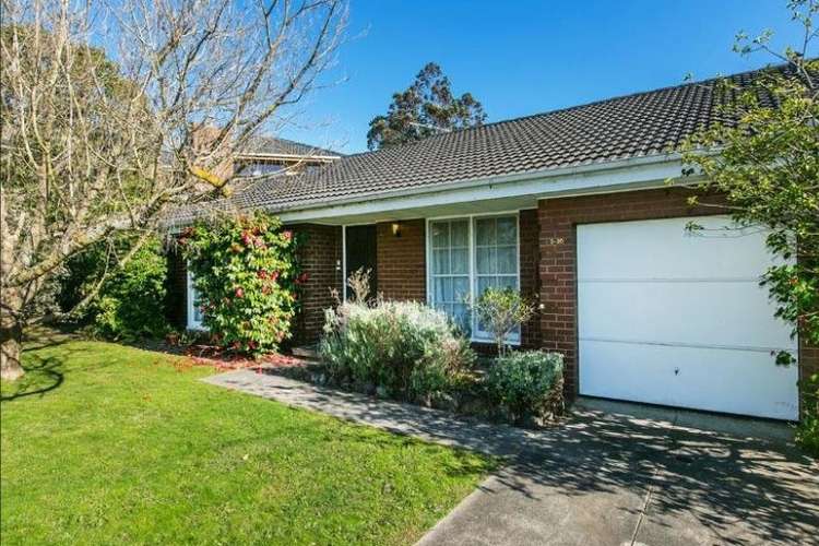 Main view of Homely unit listing, 3/20 Avondale Grove, Mount Waverley VIC 3149