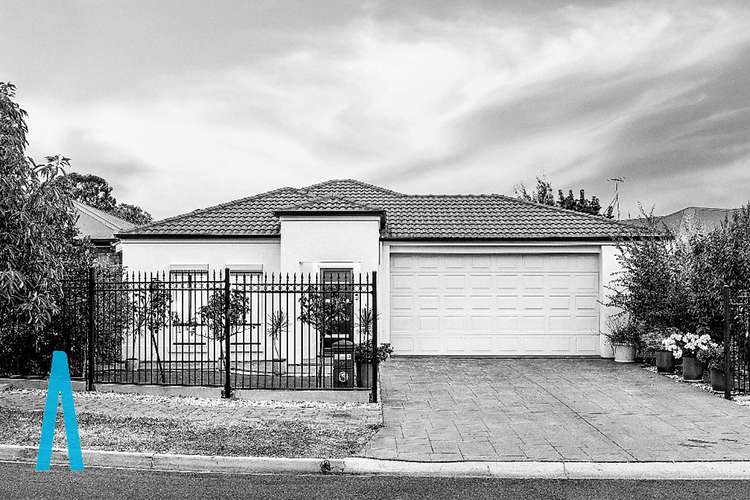 Main view of Homely house listing, 8a Tarpeena Avenue, Windsor Gardens SA 5087