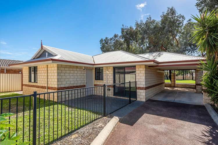 Main view of Homely villa listing, 3/25 Apley Street, Maddington WA 6109