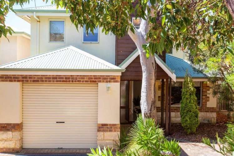 Main view of Homely house listing, 6/26 Bird Crescent, Dunsborough WA 6281