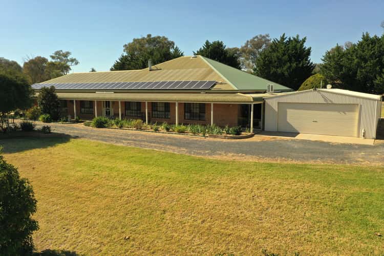 Main view of Homely house listing, 426 Back Creek Road, Young NSW 2594