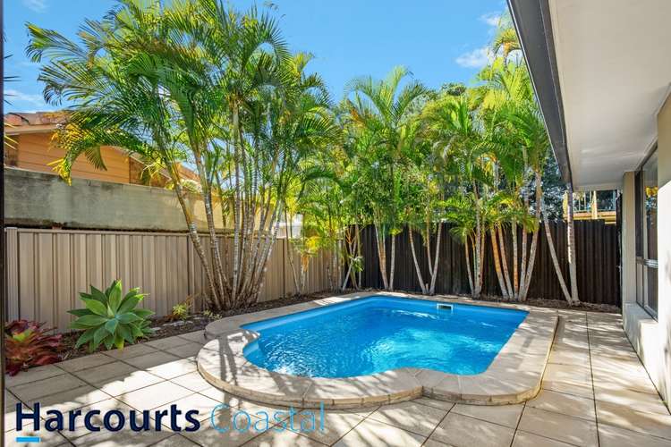 Third view of Homely house listing, 17 Thrush Avenue, Paradise Point QLD 4216