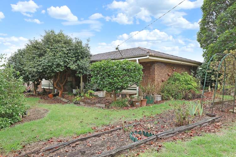 1179 Cobden-Stonyford Road, South Purrumbete VIC 3260