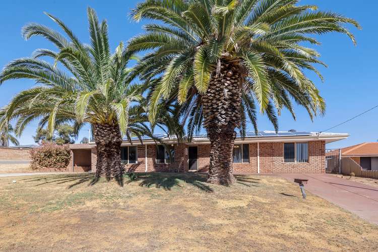 Main view of Homely house listing, 73 Goldsmith Road, Spearwood WA 6163