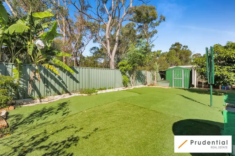 Seventh view of Homely house listing, 106 Helicia Road, Macquarie Fields NSW 2564