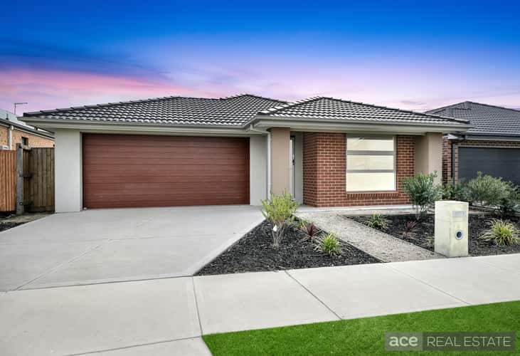 Second view of Homely house listing, 16 Bataba Street, Mickleham VIC 3064