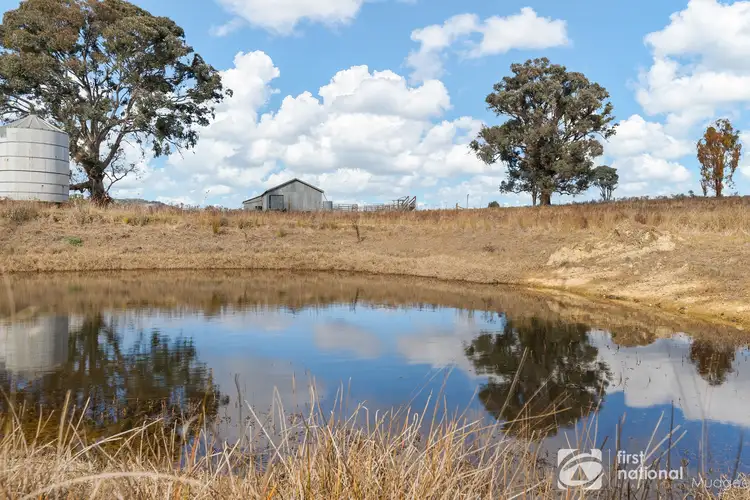 Fifth view of Homely rural property listing, Lot 131 / 2567 Hill End Road, Mudgee NSW 2850
