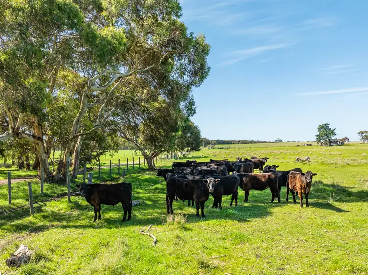 Fourth view of Homely rural property listing, 377 Jagger Road, Waitpinga SA 5211