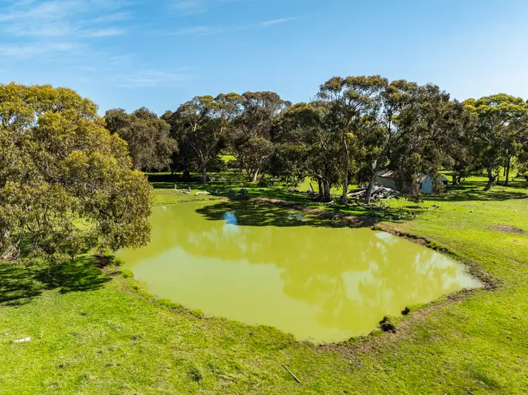 Seventh view of Homely rural property listing, 377 Jagger Road, Waitpinga SA 5211
