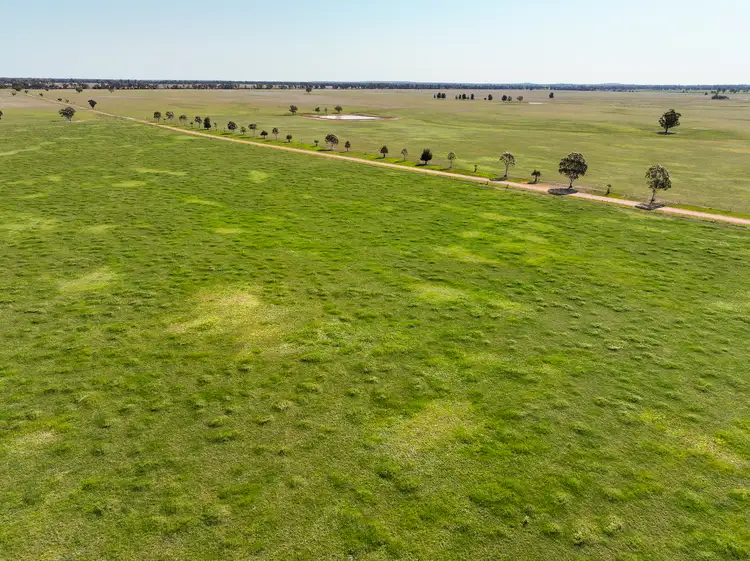 Second view of Homely rural property listing, Greendale Aggregation, West Wyalong NSW 2671