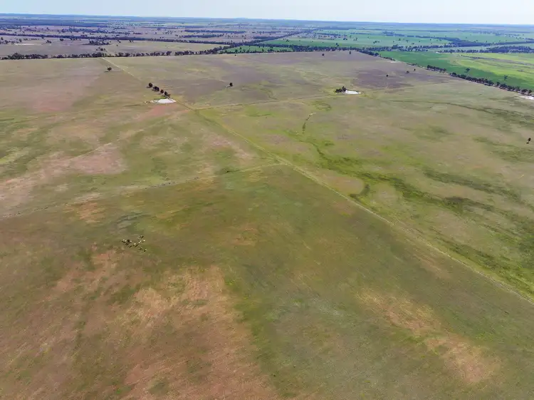Fourth view of Homely rural property listing, Greendale Aggregation, West Wyalong NSW 2671