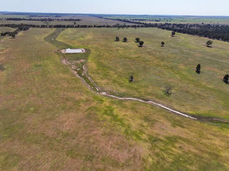Fifth view of Homely rural property listing, Greendale Aggregation, West Wyalong NSW 2671