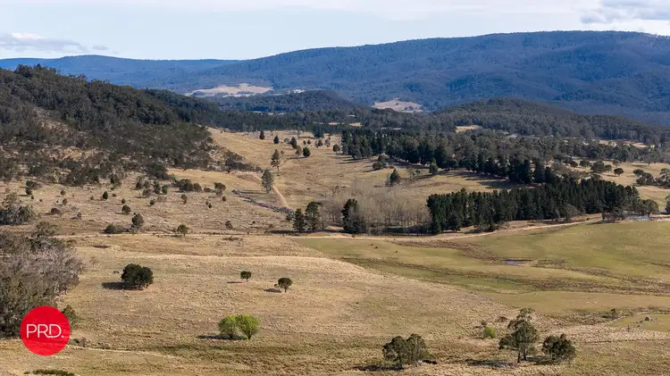 Second view of Homely rural property listing, 362 Kain Cross Road, Krawarree NSW 2622