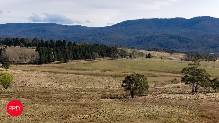 Fifth view of Homely rural property listing, 362 Kain Cross Road, Krawarree NSW 2622