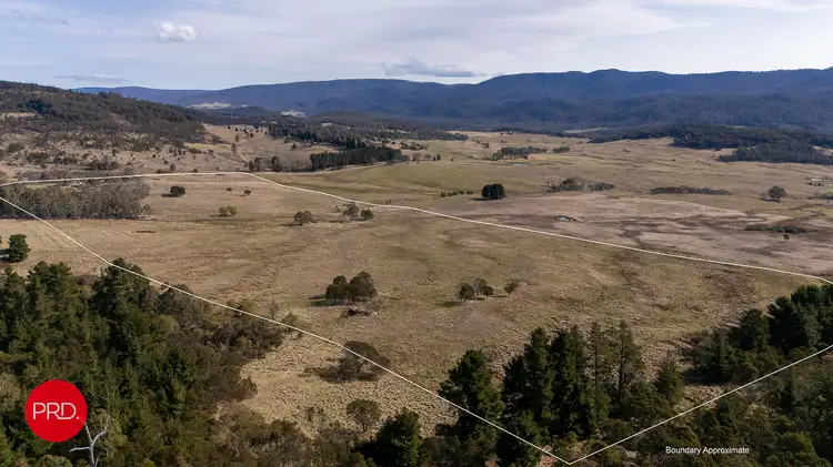 Sixth view of Homely rural property listing, 362 Kain Cross Road, Krawarree NSW 2622