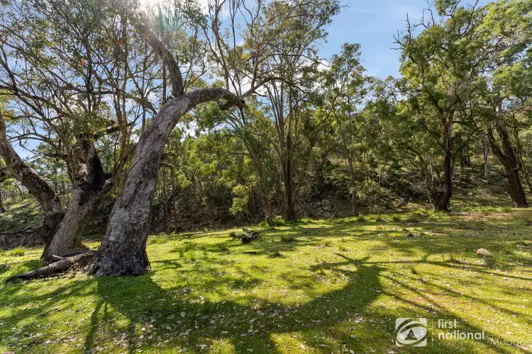 Fifth view of Homely rural property listing, 445 Merrendee Road, Mudgee NSW 2850