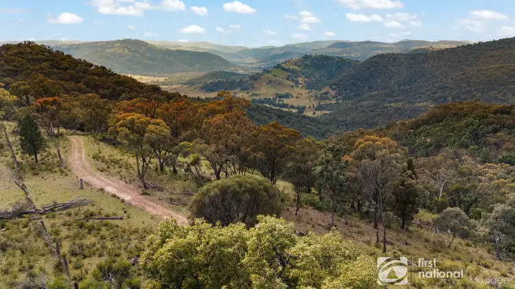 Seventh view of Homely rural property listing, 445 Merrendee Road, Mudgee NSW 2850