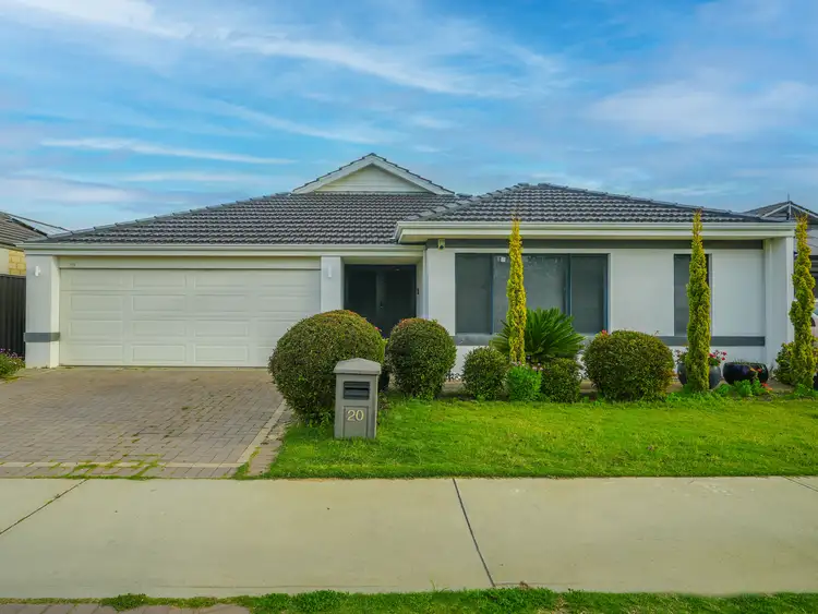 20 Daviesia Corner