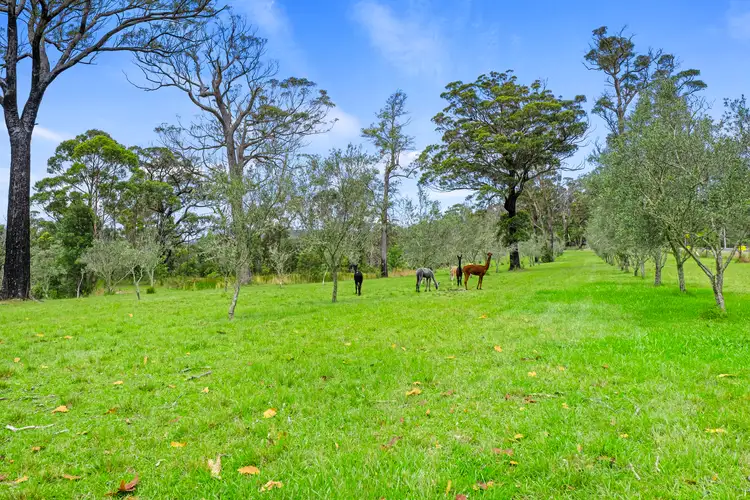 Second view of Homely rural property listing, 1794 Bells Line of Road, Kurrajong Heights NSW 2758