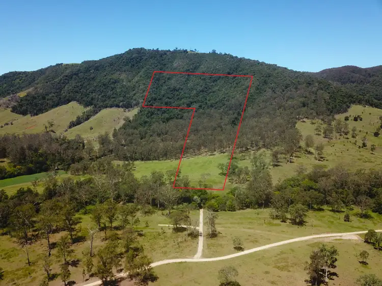 Main view of Homely rural property listing, Lot 131 Bunnoo River Road, Ellenborough NSW 2446