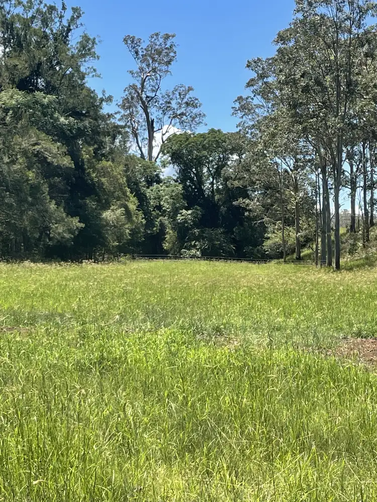 Third view of Homely rural property listing, Lot 131 Bunnoo River Road, Ellenborough NSW 2446