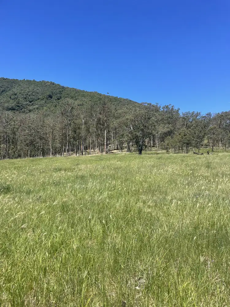 Fourth view of Homely rural property listing, Lot 131 Bunnoo River Road, Ellenborough NSW 2446