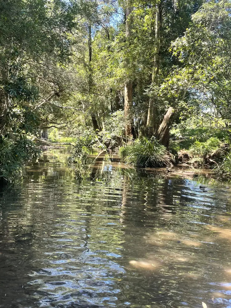 Sixth view of Homely rural property listing, Lot 131 Bunnoo River Road, Ellenborough NSW 2446
