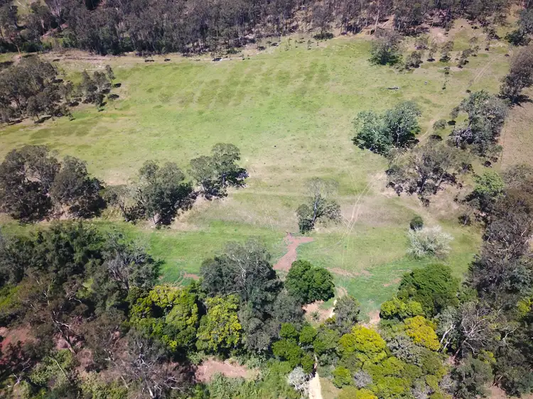 Seventh view of Homely rural property listing, Lot 131 Bunnoo River Road, Ellenborough NSW 2446